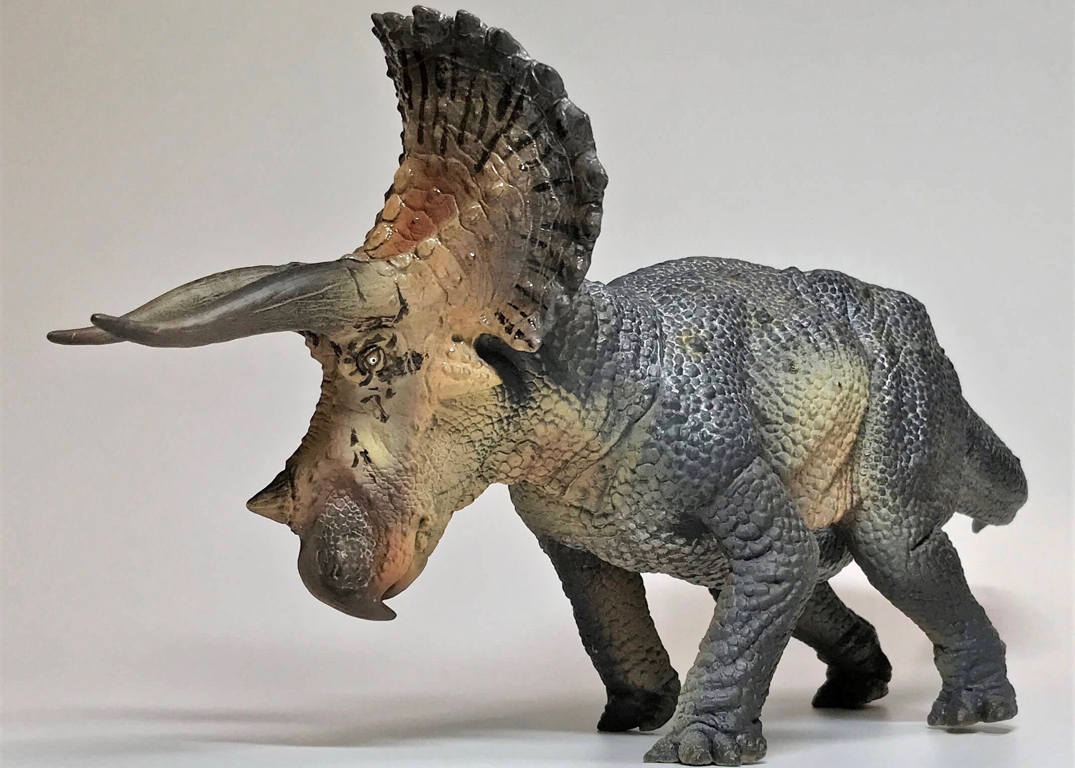 PNSO恐竜大王シリーズトリケラトプスのレビュー