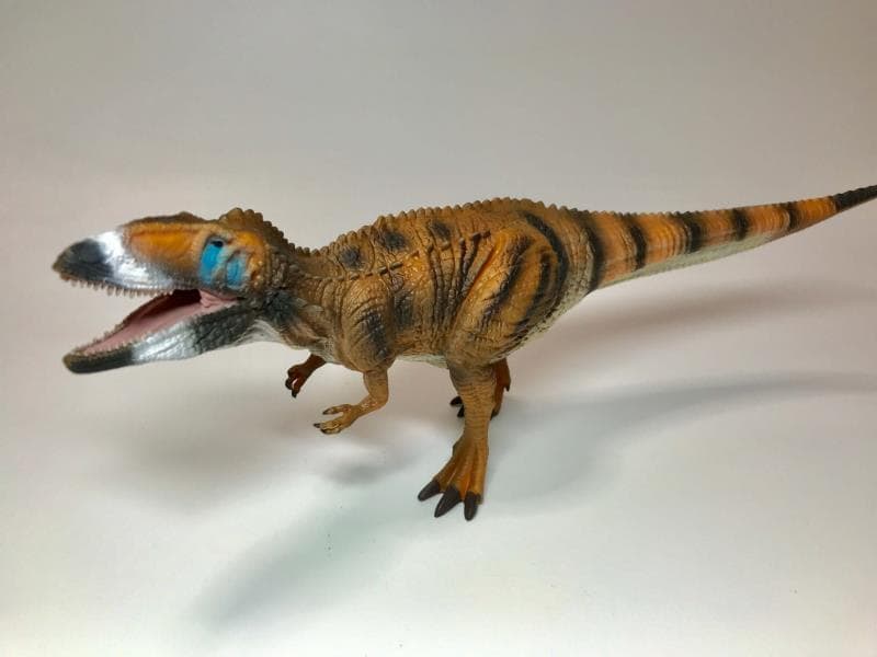 恐竜フィギュア】カルカロドントサウルス・デラックス（collectA 