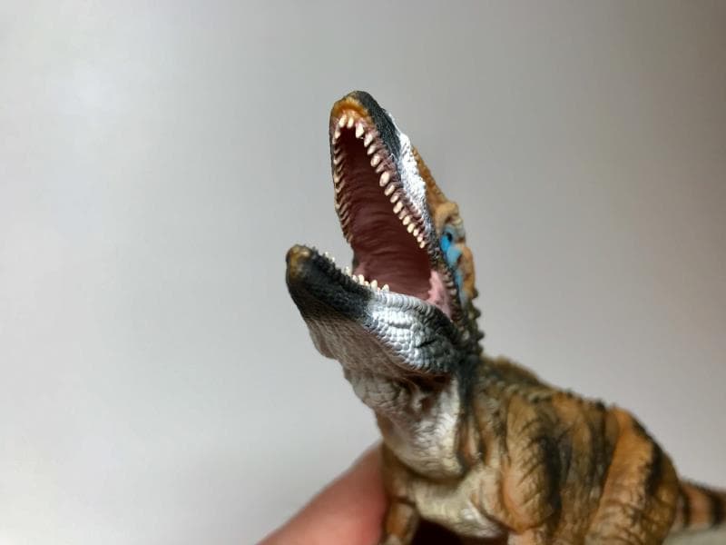 恐竜フィギュア】カルカロドントサウルス・デラックス（collectA