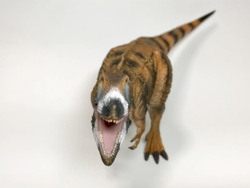 恐竜フィギュア】カルカロドントサウルス・デラックス（collectA