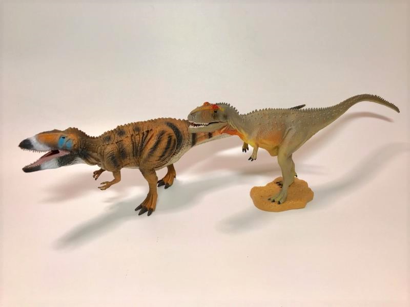collectaのマプサウルスのレビュー