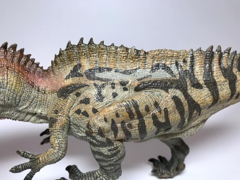 papoのアクロカントサウルスのフィギュアレビュー