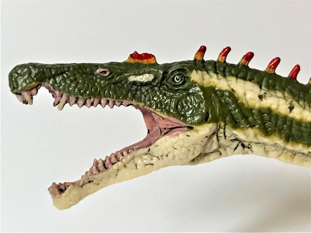 フェバリットフィギュアのスピノサウルスの頭部