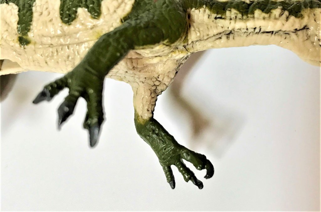 フェバリットフィギュアのスピノサウルスの腕