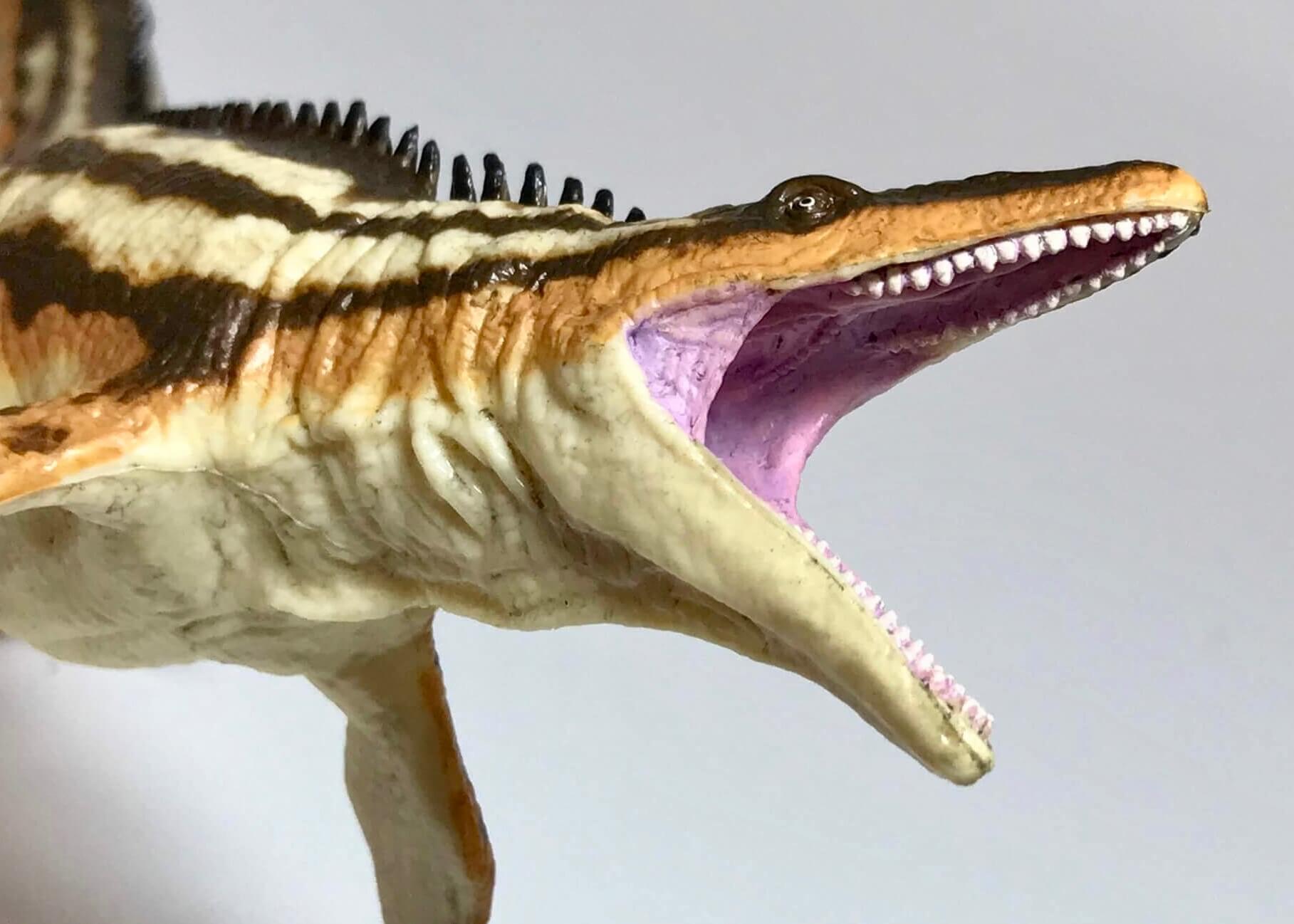 フェバリットのモササウルス・ソフトモデルレビュー