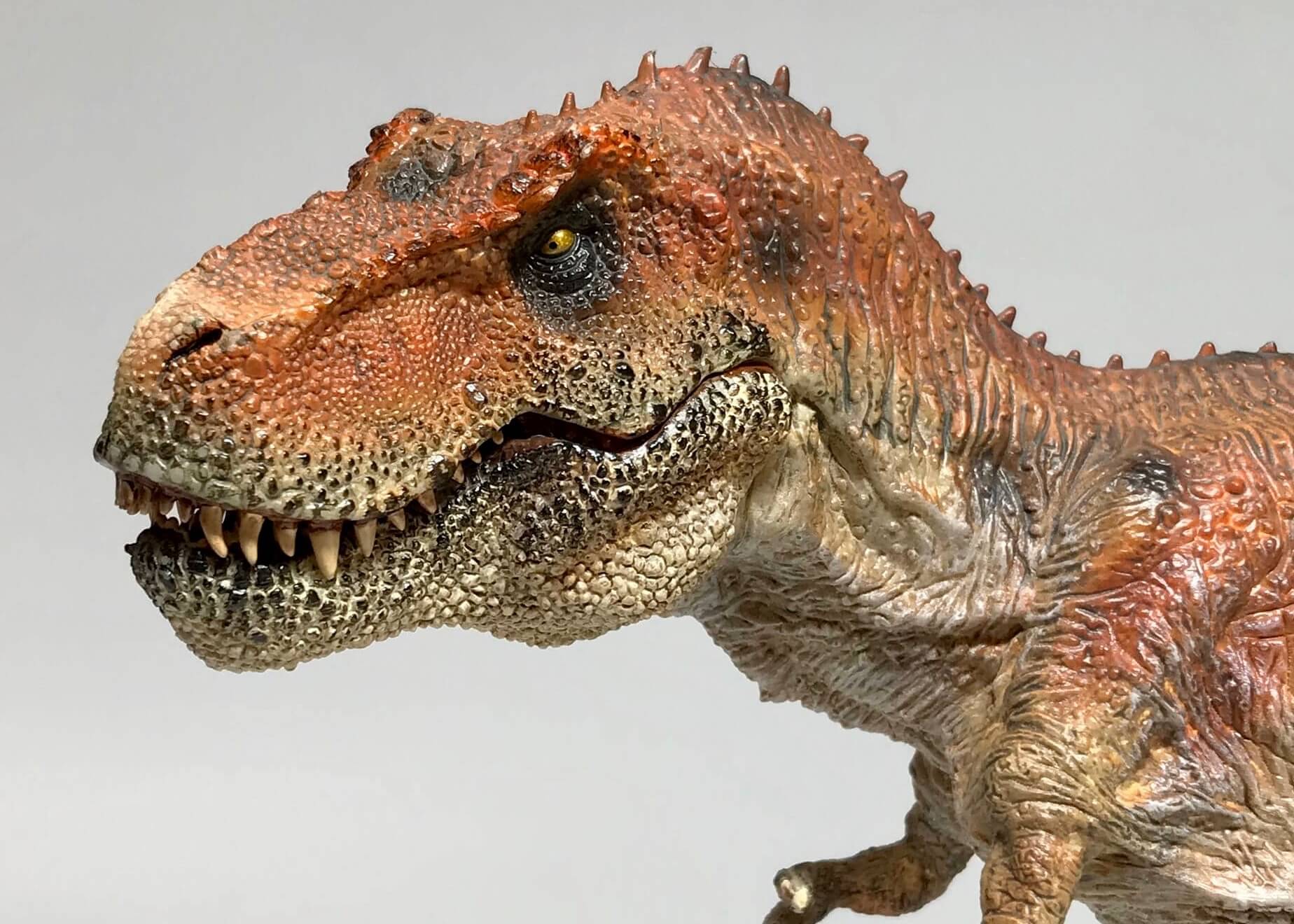 恐竜フィギュア／ティラノサウルス www.fruut.pt