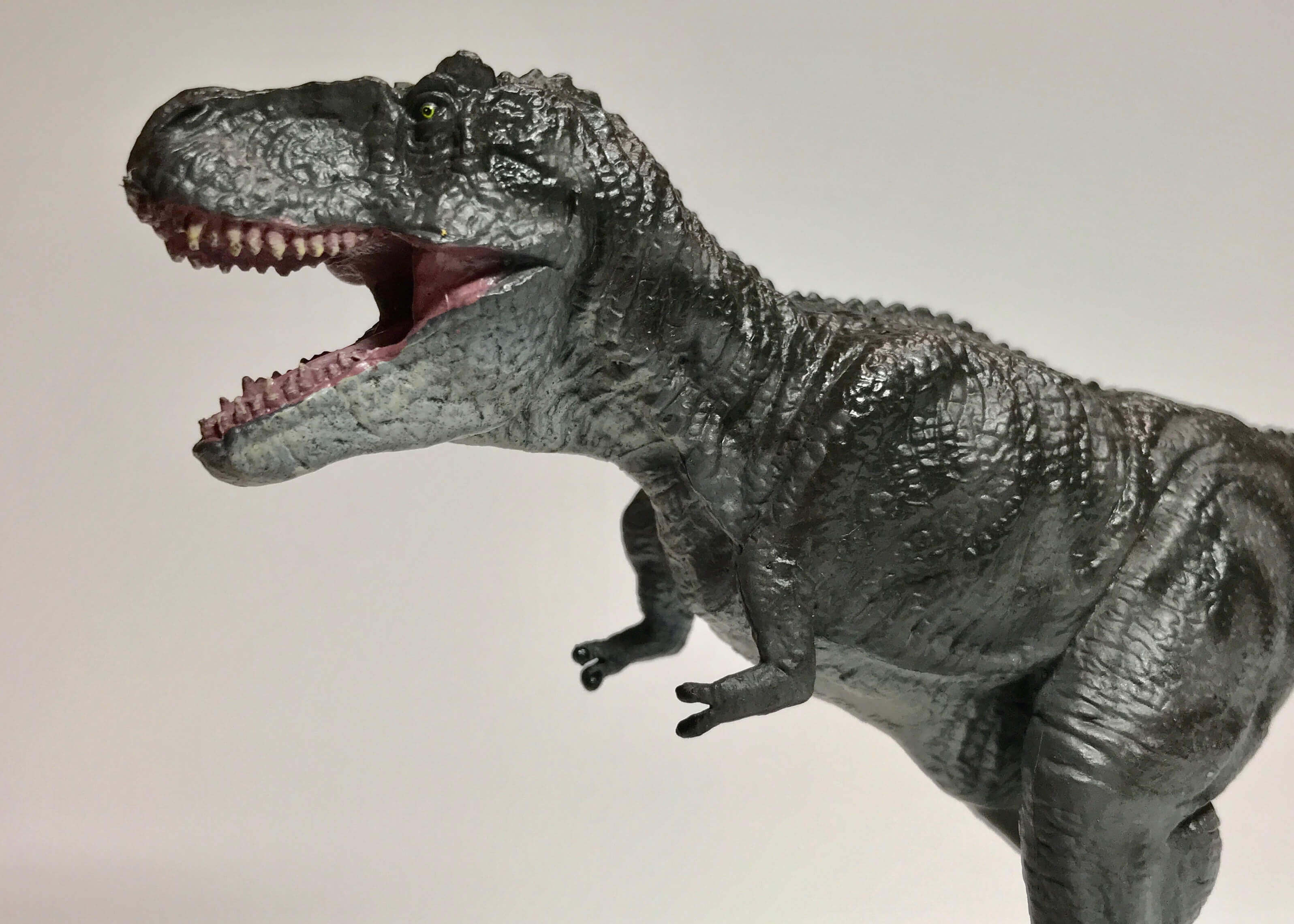 ティラノサウルス・ソフトモデルのレビュー