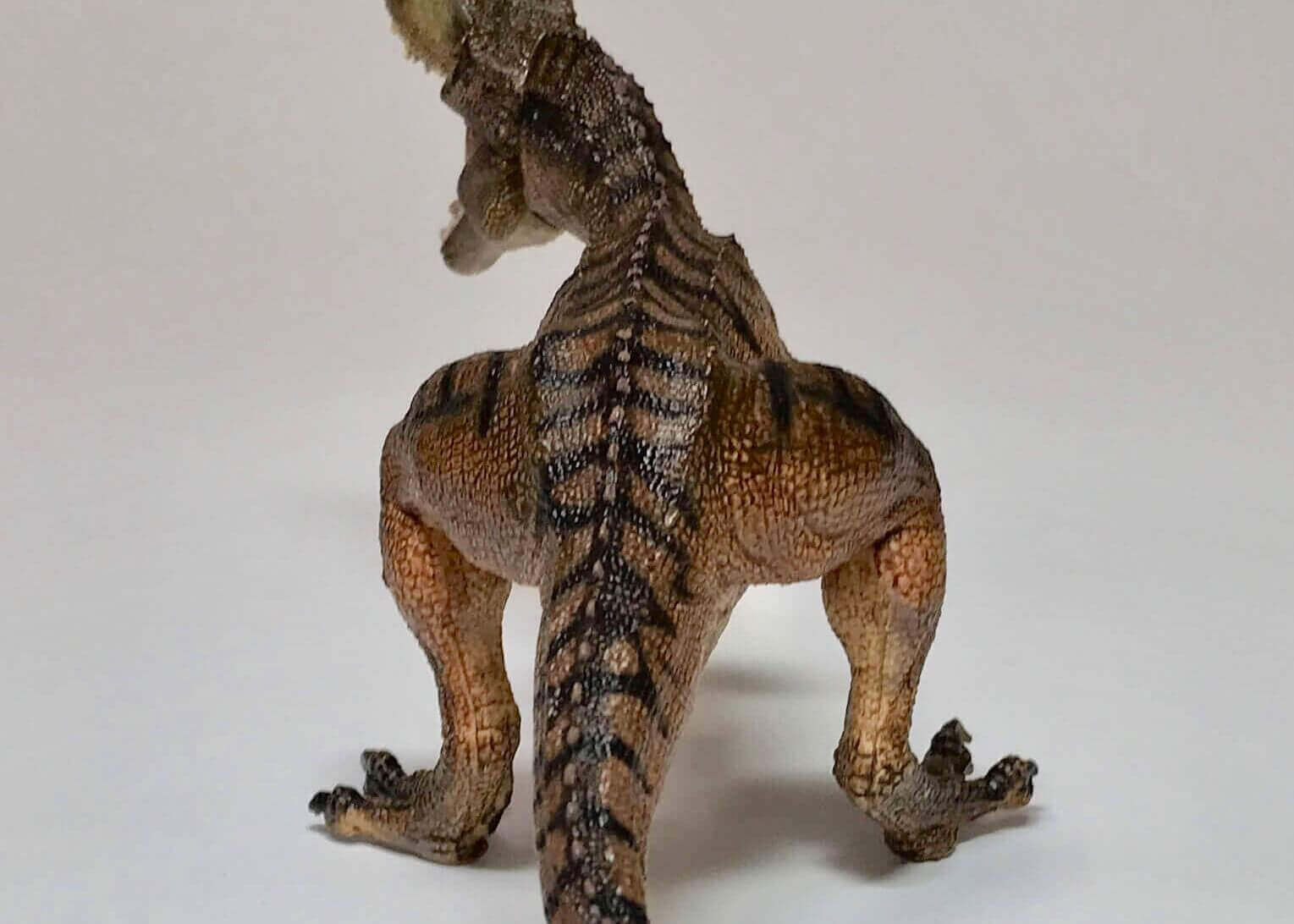 Papoのゴルゴサウルスレビュー