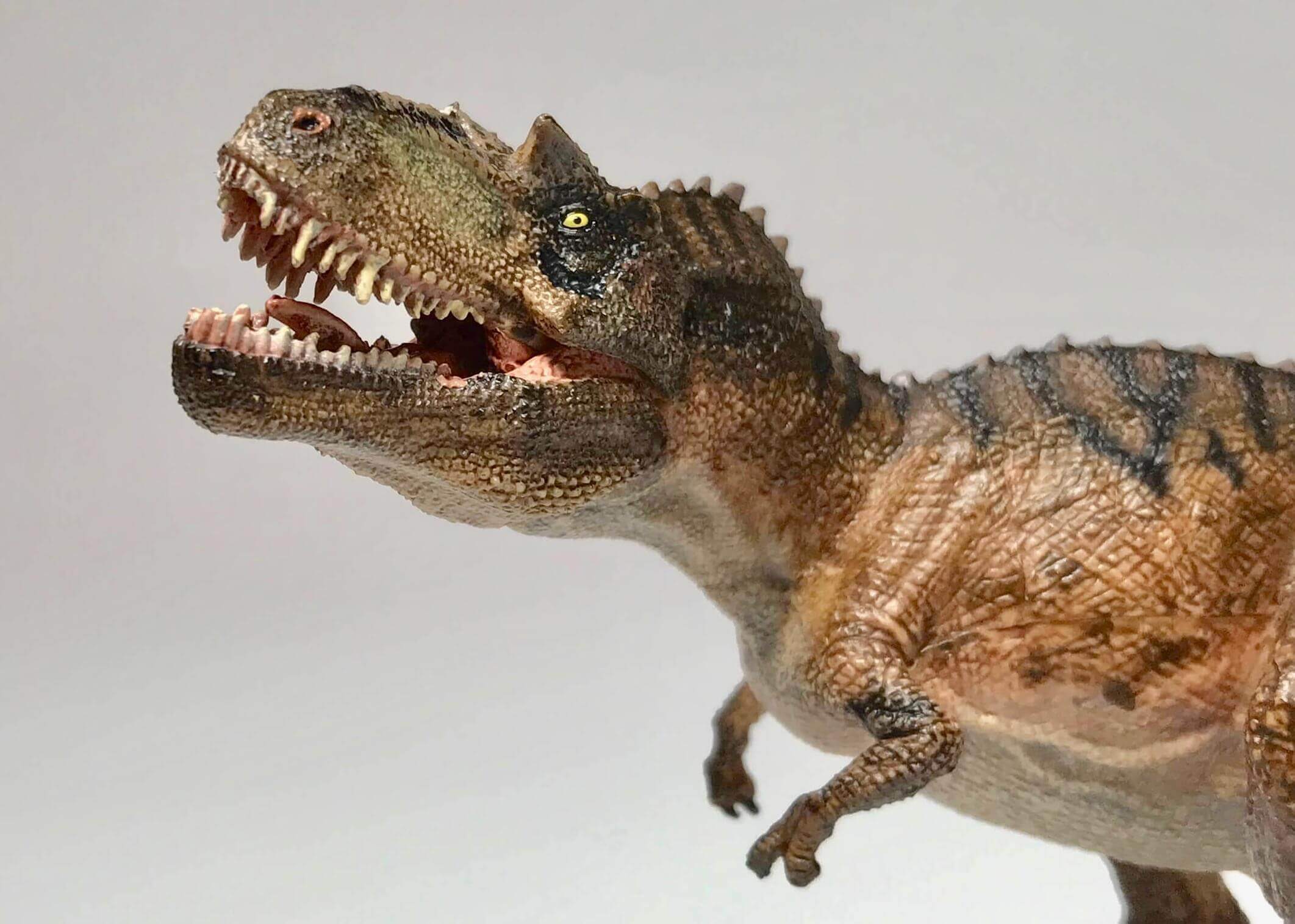 Papoのゴルゴサウルスレビュー