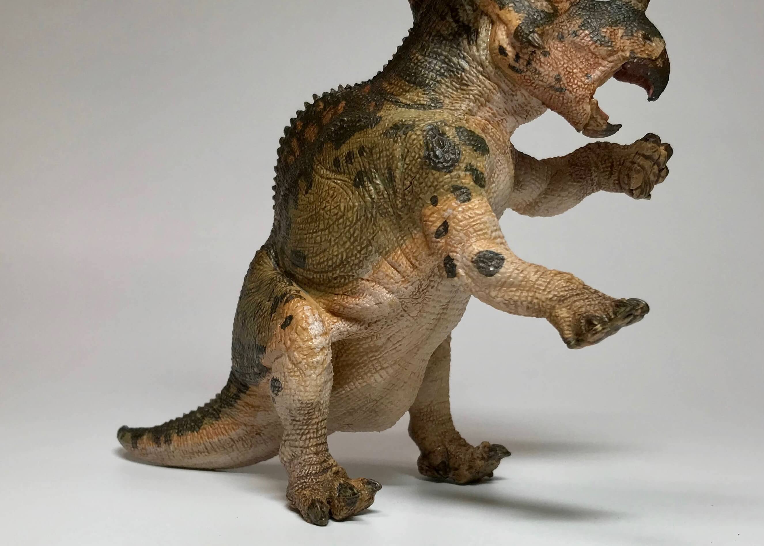 恐竜フィギュア】ペンタケラトプス（Papo）レビュー | DINOCOM