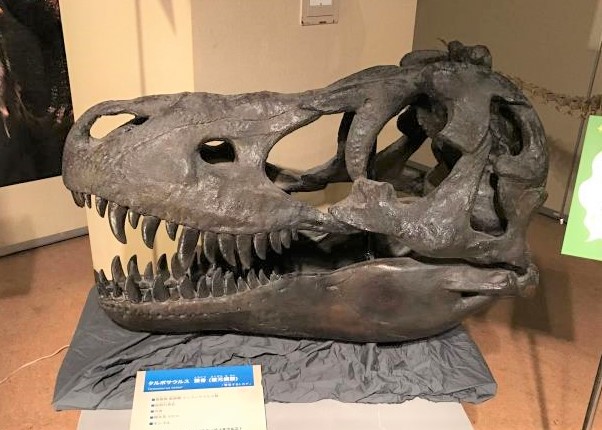 2019年夏の鹿児島の大恐竜展2019