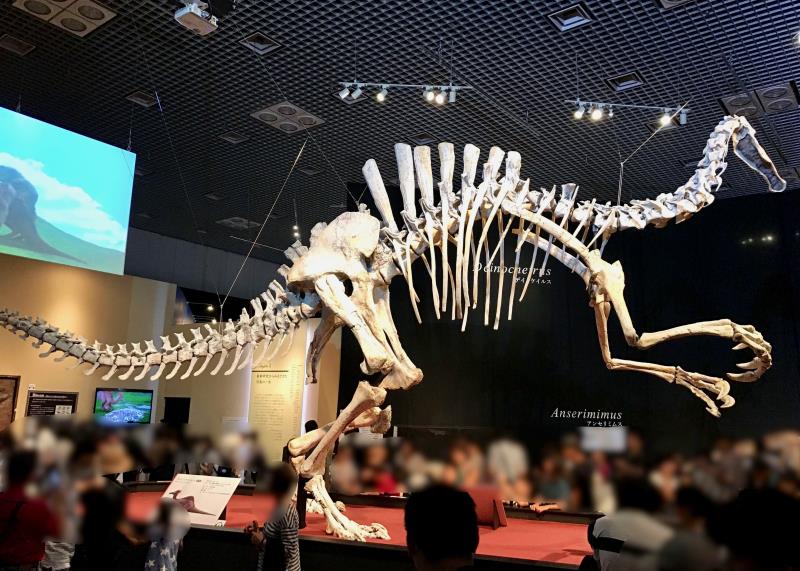 国立科学博物館開催の恐竜博2019の感想・レポート