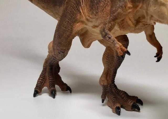 papoのティラノサウルス2019のフィギュアレビュー