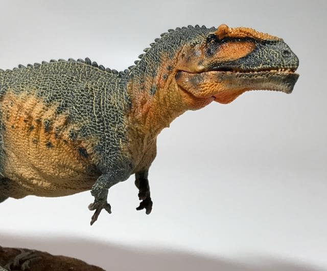 PNSOのギガノトサウルスのレビュー